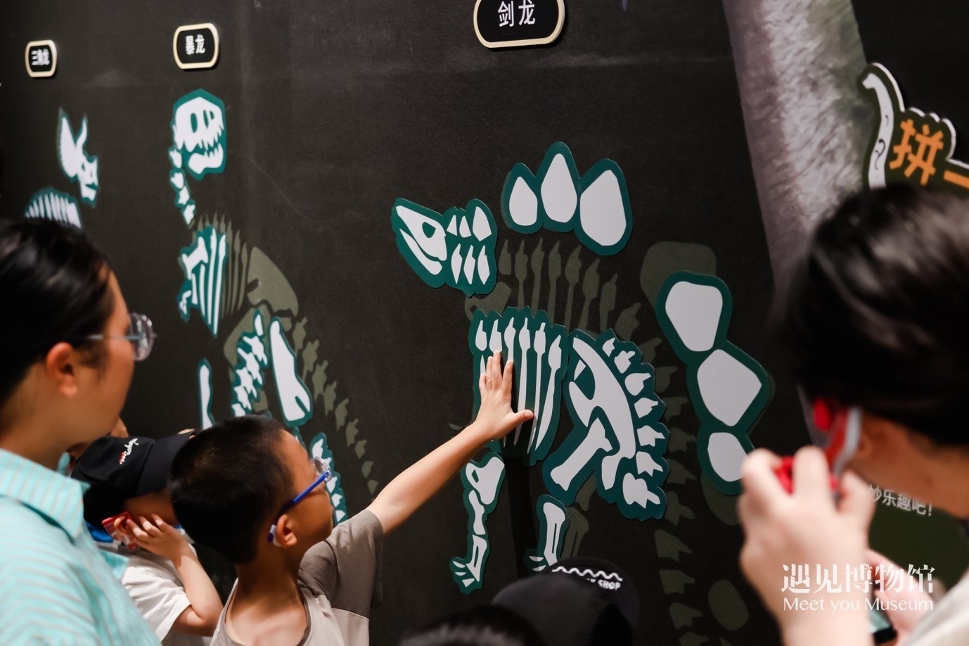 5. “2億年的地球記憶——恐龍化石特展”互動區(qū)域。遇見博物館供圖