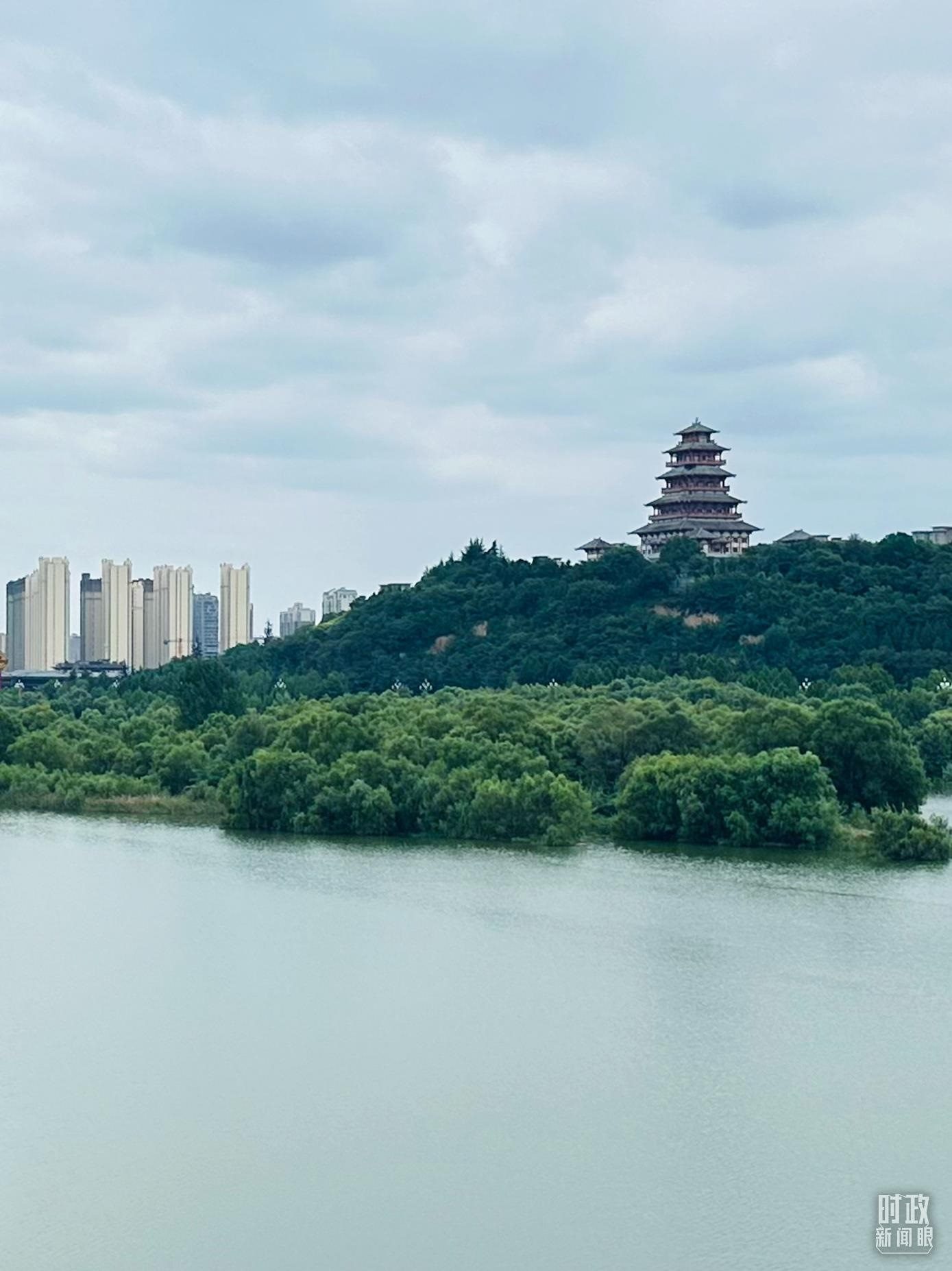 △渭河寶雞段長224公里，目前建成17處渭河灘區(qū)生態(tài)涵養(yǎng)區(qū)。（總臺央視記者范一鳴拍攝）