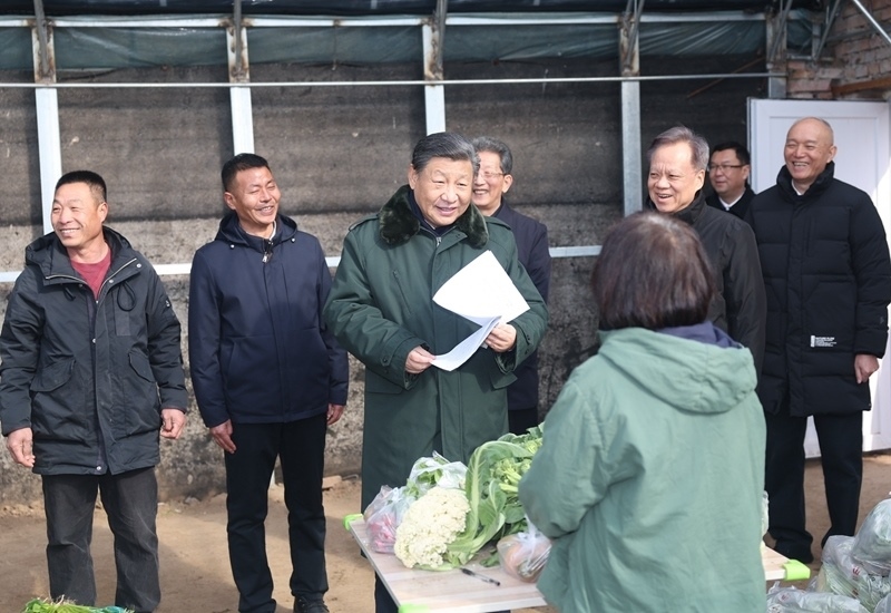 2024年2月1日，習(xí)近平總書記在天津市西青區(qū)辛口鎮(zhèn)第六埠村，走進大棚同菜農(nóng)親切交流。