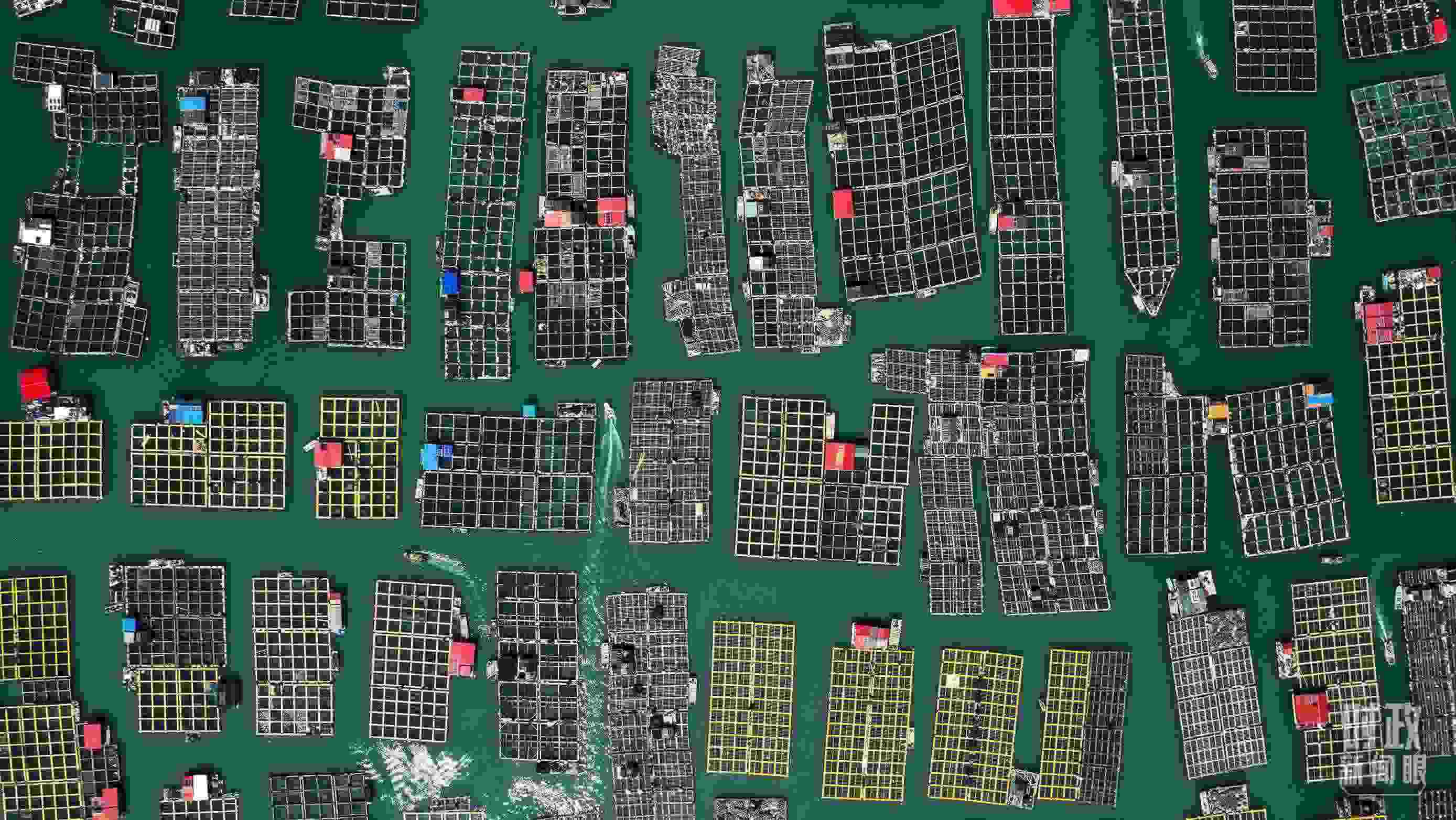 △澳角村。（總臺記者李晉拍攝）