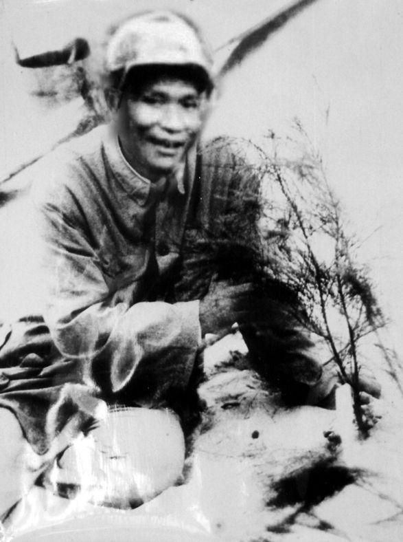 谷文昌與試種成活的木麻黃（資料照片）。為了治沙，谷文昌爬遍了東山縣400多個山頭，踏遍了30多公里的沙灘，終于帶領東山人民試種木麻黃成功。