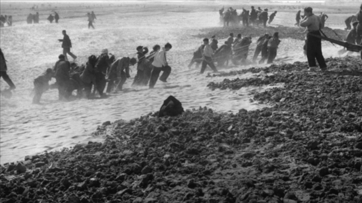 蘭考群眾在拉淤土壓沙。（新華社記者 鄧歷耕 攝）