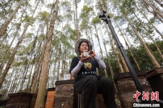 吳素英在網絡平臺直播介紹蜜蜂和養(yǎng)蜂情況。湯曉逵 攝