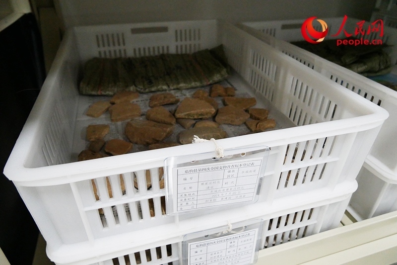 已經(jīng)整理完畢的文物標(biāo)本。人民網(wǎng)記者 韋衍行攝
