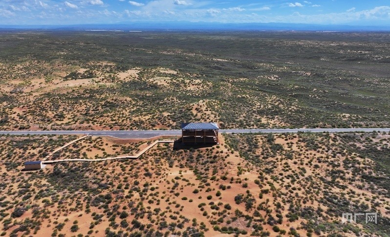 古浪縣一代代人治沙不息，讓綠色向沙漠深處不斷延伸（央廣網(wǎng)記者 李紅軍 攝）