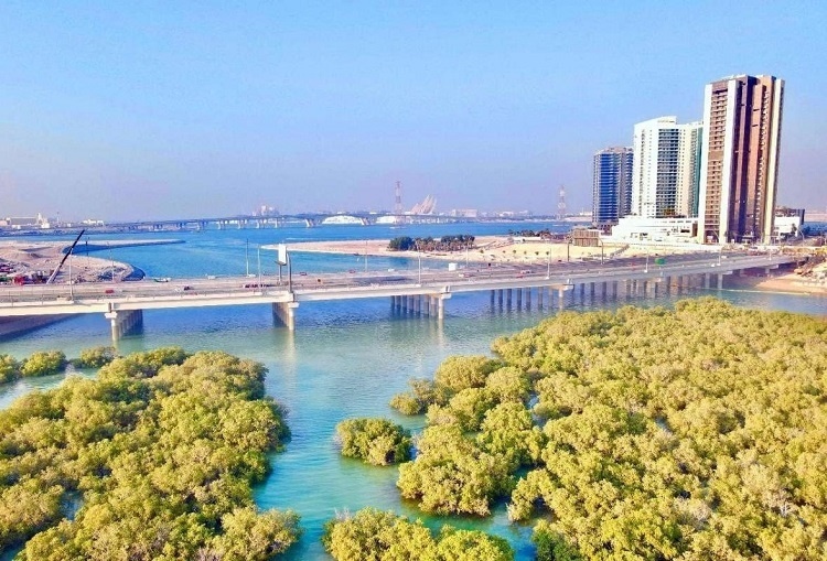 圖為瑞姆橋施工現(xiàn)場(chǎng)。中國(guó)土木供圖