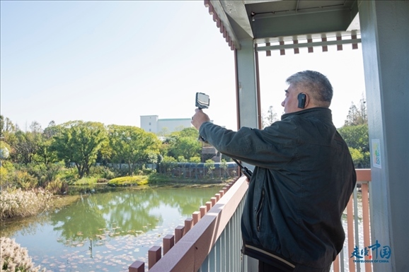 參觀白鷺園。環(huán)球網供圖