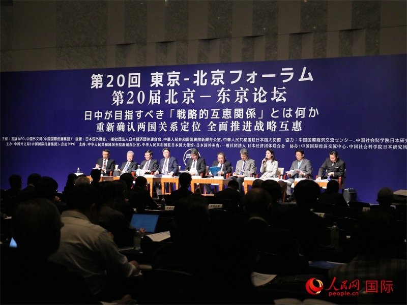 雙邊政治與外交分論壇現場。人民網 許可攝