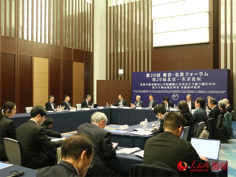 和平秩序分論壇現場。人民網 許可攝
