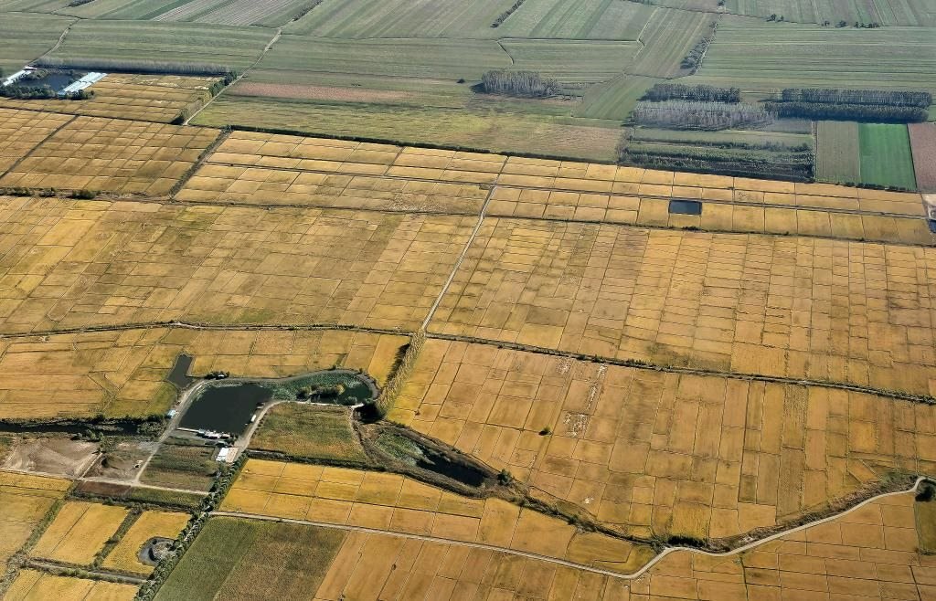 俯瞰黑龍江省哈爾濱市一處稻田（10月2日攝，無人機照片）。新華社記者 孫曉宇 攝