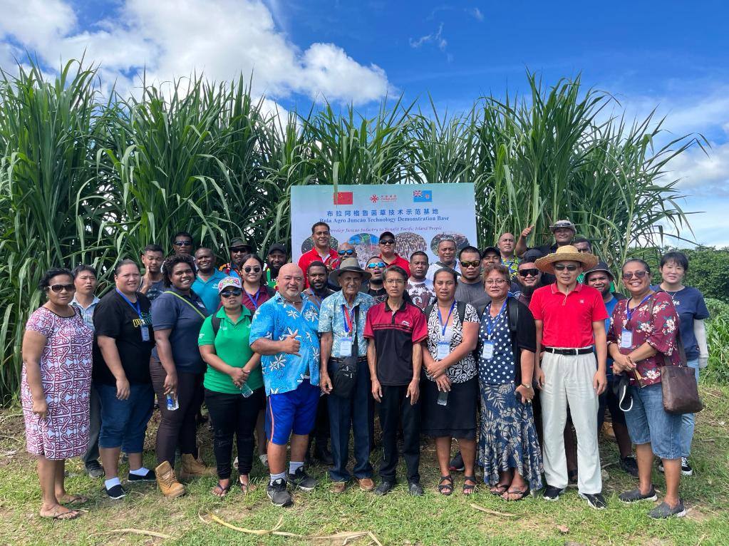 2024年2月28日，來自巴布亞新幾內(nèi)亞、湯加、庫克群島、薩摩亞、瑙魯?shù)葒业摹疤窖髰u國菌草技術(shù)培訓(xùn)班”學(xué)員在斐濟(jì)布拉阿格魯菌草技術(shù)示范基地合影。新華社發(fā)（中國援斐濟(jì)菌草技術(shù)示范中心供圖）