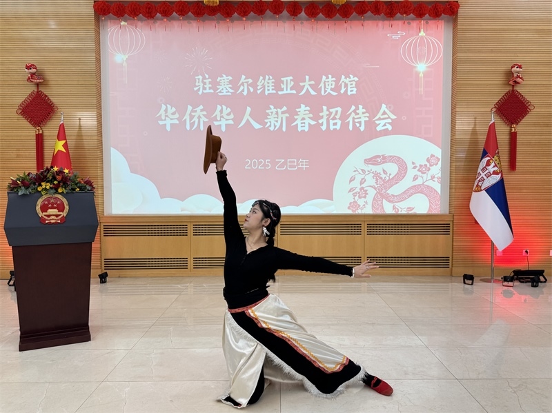 招待會現(xiàn)場表演。諾維薩德孔子學院供圖