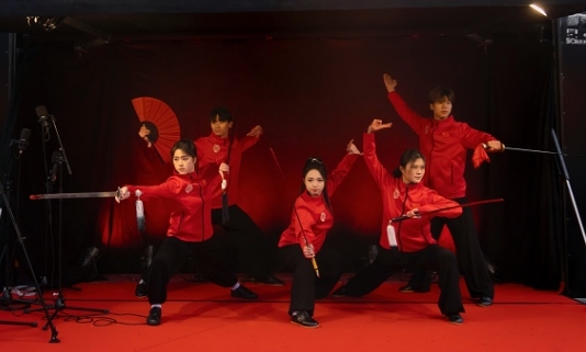 武術(shù)表演。中國(guó)駐芬蘭大使館供圖