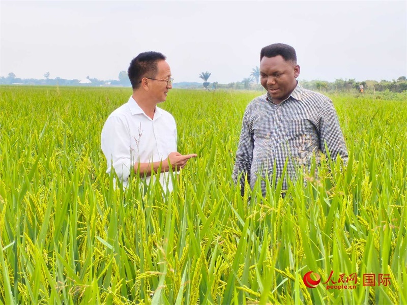 專家組組長楊華德在與農(nóng)民學(xué)員交流。人民網(wǎng)記者黃培昭攝