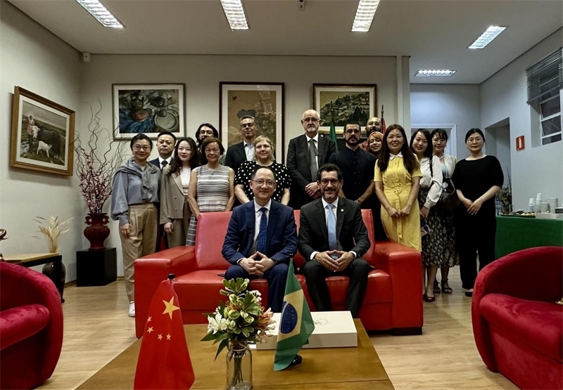 圖為參加座談會的來賓合影留念。 圣保羅州立大學(xué)孔子學(xué)院供圖