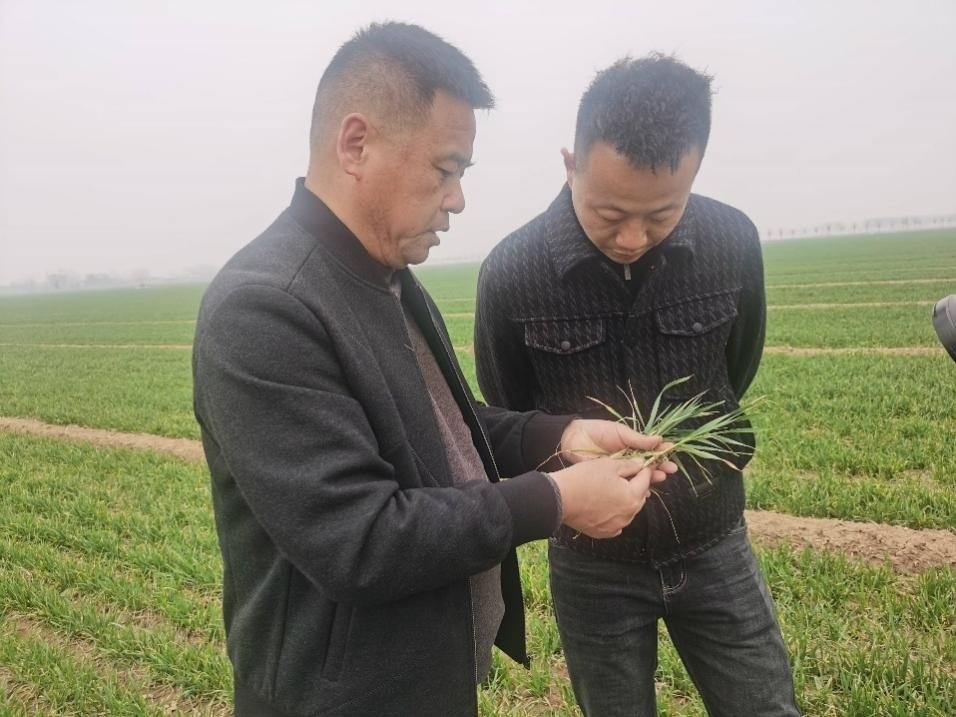 在山東濟(jì)寧汶上縣苑莊鎮(zhèn)，農(nóng)技員黃海龍對(duì)種糧大戶王振現(xiàn)場(chǎng)進(jìn)行春耕指導(dǎo)。人民網(wǎng)記者 車柯蒙攝