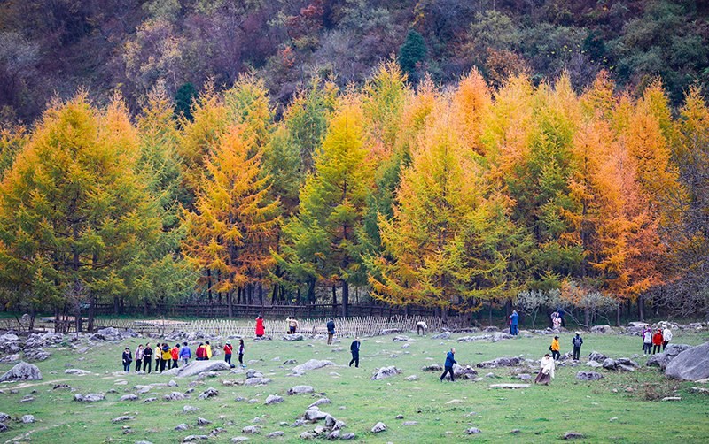 2023年10月27日，深秋時(shí)節(jié)的陜西秦嶺太子嶺五彩斑斕，進(jìn)入最佳觀賞期。