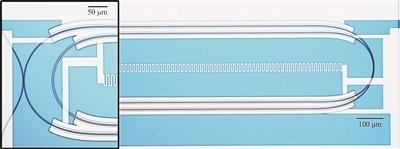 微波光量子傳感器的光學(xué)顯微照片。圖片來源：美國哈佛大學(xué)