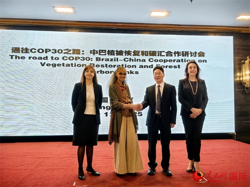 中國國家林業(yè)和草原局副局長李云卿（右二）、巴西環(huán)境和氣候變化部部長瑪麗娜·席爾瓦（左二）、巴西財政部副部長羅熙丹（右一）、巴西駐華大使館公參樂美（左一）出席“通往COP30之路：中巴植樹造林和碳匯合作研討活動”。人民網(wǎng)記者 符園園攝