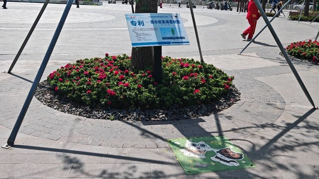 廣安“雨水收集調(diào)蓄樹池”，已在市內(nèi)公園落地運用。受訪者供圖