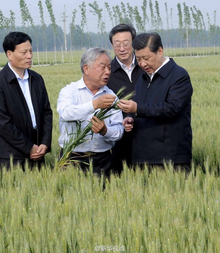 2014年5月，習(xí)近平總書記在河南省尉氏縣張市鎮(zhèn)高標(biāo)準(zhǔn)糧田察看小麥長勢。