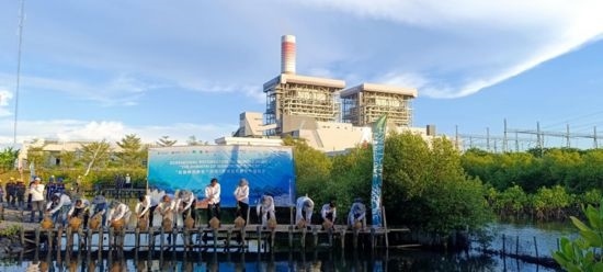 5月18日，中印尼嘉賓在爪哇7號燃煤電站舉行紅樹林補植儀式。記者 曹凱 攝