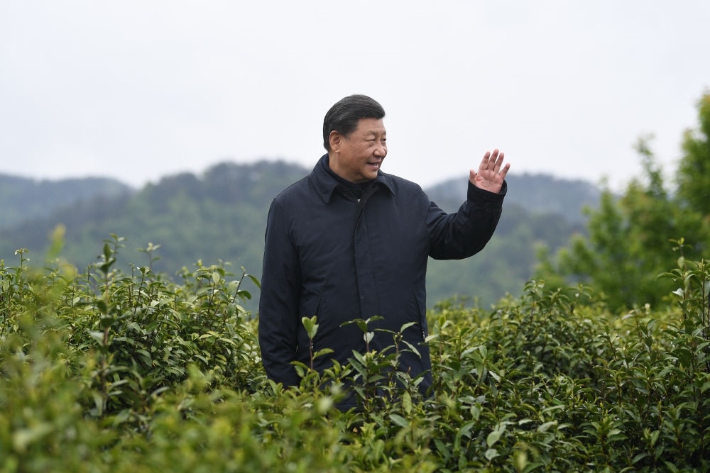 2020年4月21日，習(xí)近平總書記來到陜西安康市平利縣老縣鎮(zhèn)，在茶園考察脫貧攻堅情況。新華社記者 燕雁 攝