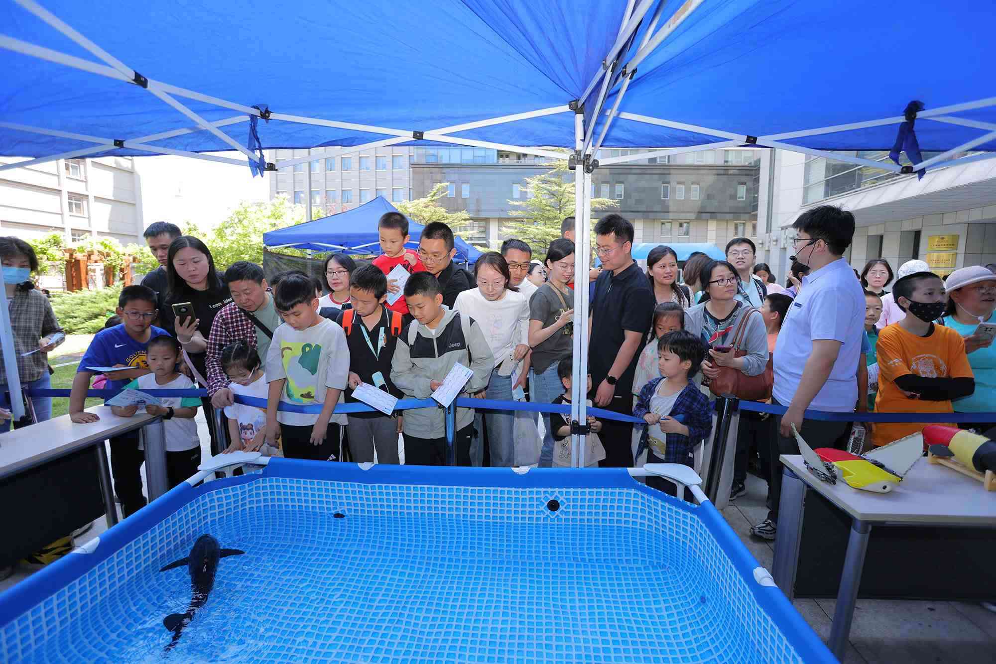 水下仿生機器魚在活動現(xiàn)場大受歡迎。中國科學院自動化研究所供圖